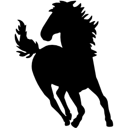 Equine Vet & Chiropractic logo